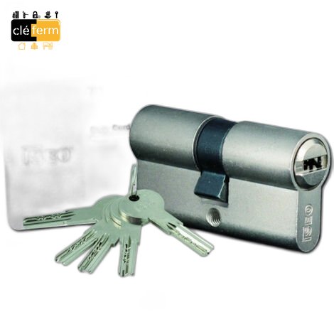 CYLINDRE ISEO R6 30 X 30  S'ENTROUVRANT NICKELE 5 CLES + CARTE
