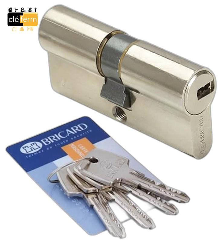 CYL. EURO. VIP+ 1* 30X30 DEBRAYABLE SUR OC - 4 CLES