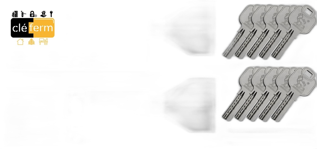 CYL. EURO HXR 40X40 BOUTON PG/PP  - 3 CLES