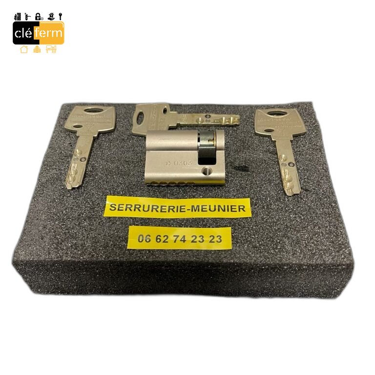 DEMI-CYL T 250 31 MM/10 MM SUR ORGA