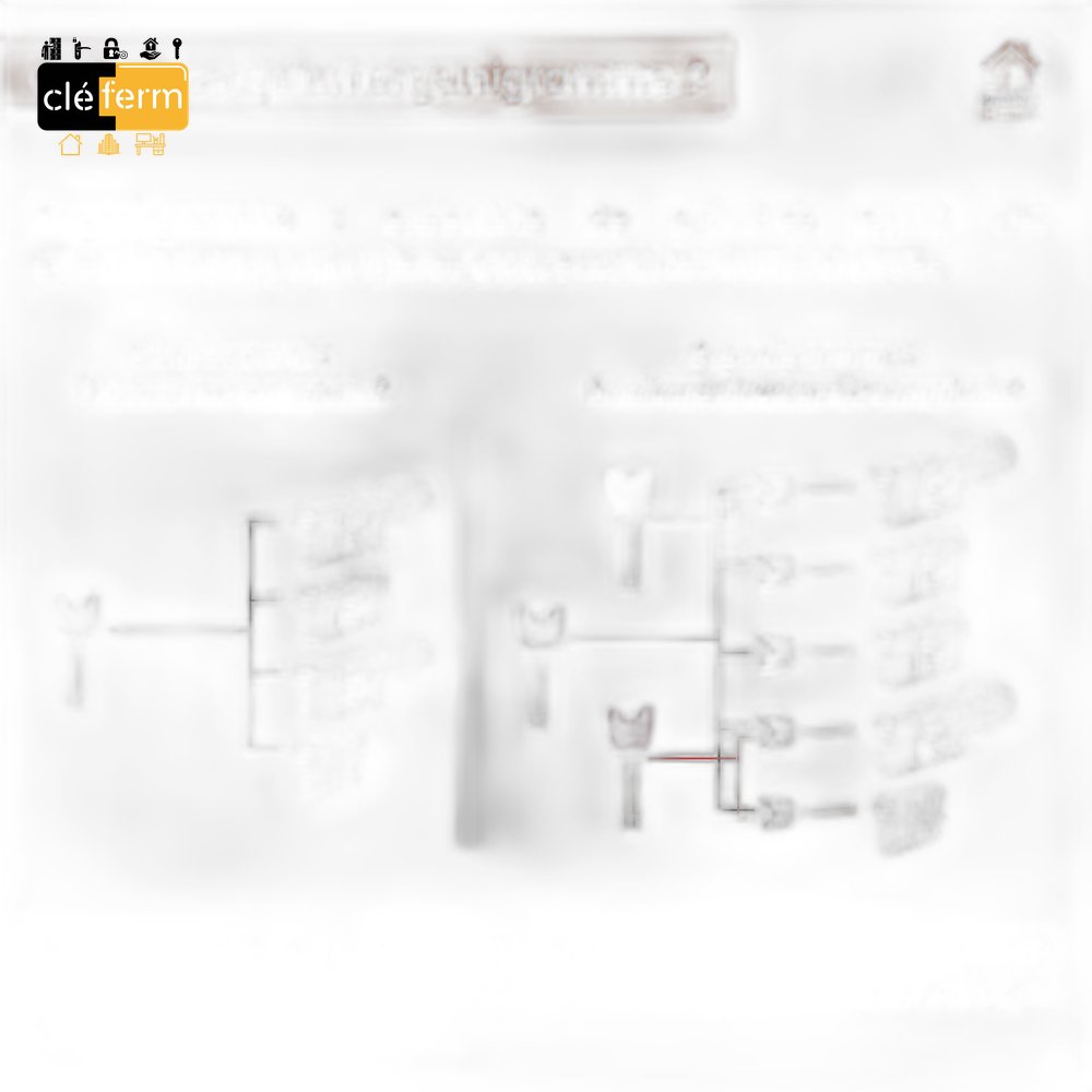 CYL EURO DZ41X41 DE SUR ORGANIGRAMME - SANS CLE