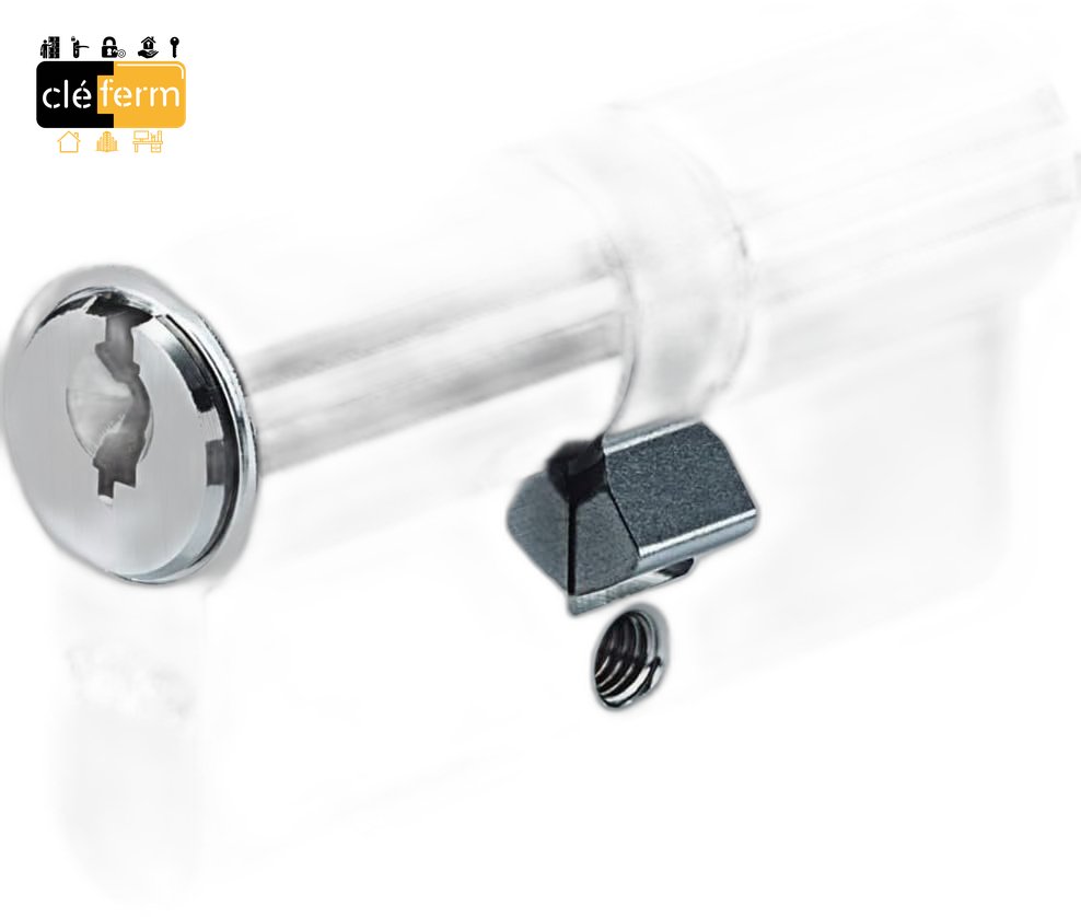 CYLINDRE LIVIUS S50 31 X 31 SUR PG - 3 CLES