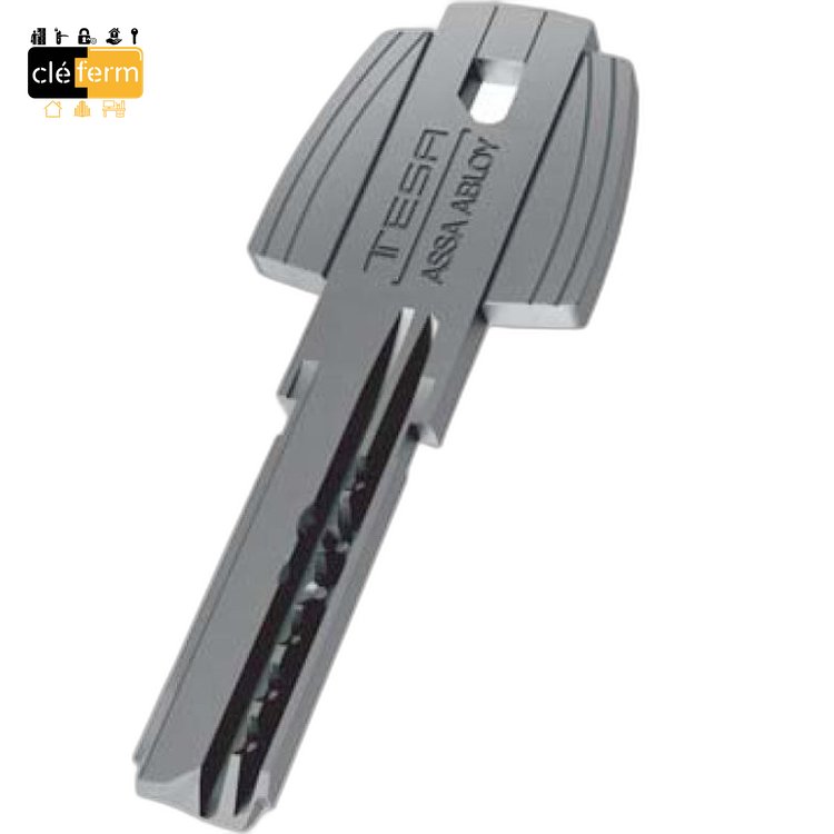 CLE TESA T60 PG/PP
