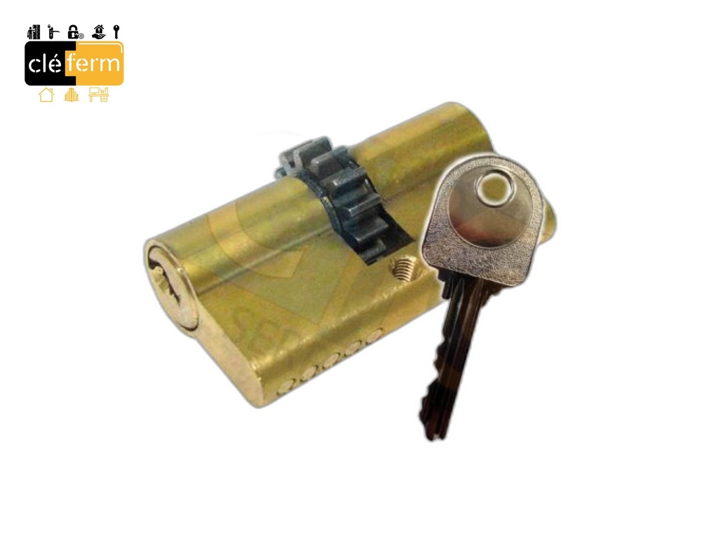 CYL.EURO.GEMM 6 36X66 DE PG/PP