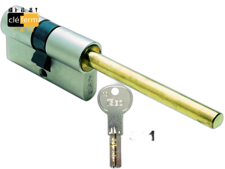 CYLINDRE ISEO R6 60X30 BOUTON - 5 CLES 