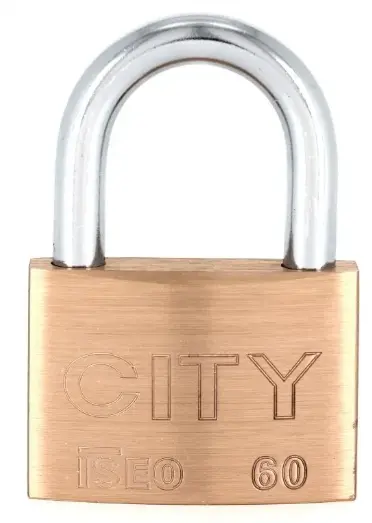 CAD SUR LAITON/ACIER 60MM 2CL