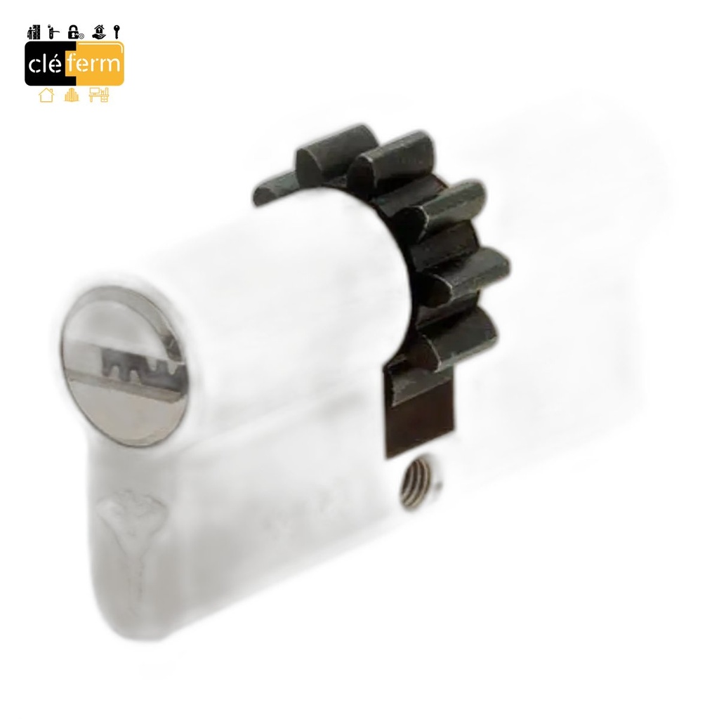 CYL EURP 35X35 SUR PG PP