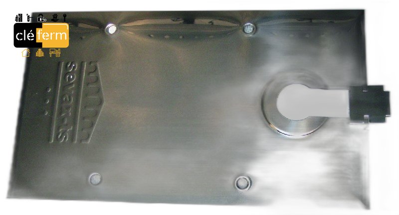 PLAQUE INOX POLI POUR TSP