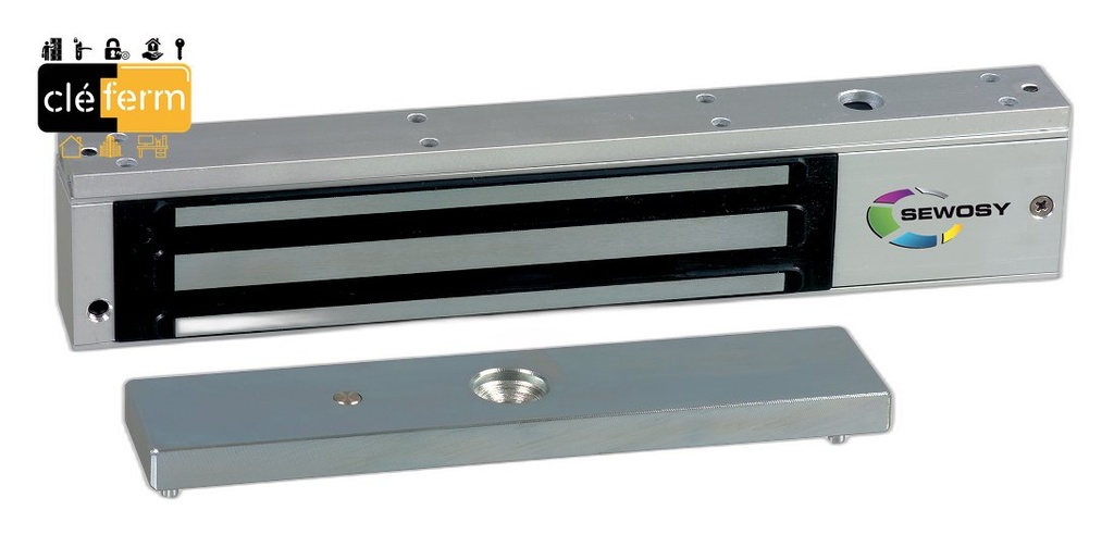 VENTOUSE ELECTRO. APPLI.300KG