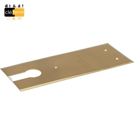 PLAQUE DE RECOUVREMENT BTS84
