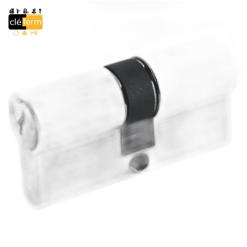 CYLINDRE EUROPEEN 30X30 DOM 333H IX5HT SUR PG/PP-3 CLES