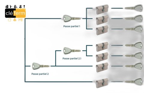 LICENSE DE GESTION RESEAU 48 POSTES
