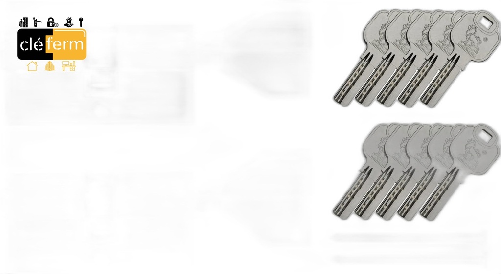 CYL. EURO.35X35 BOUTON DOM 333H IX5HT SUR PG/PP-10 CLES