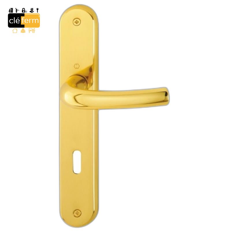 ENSEMBLE PORTE PALIERE CLE I LAITON