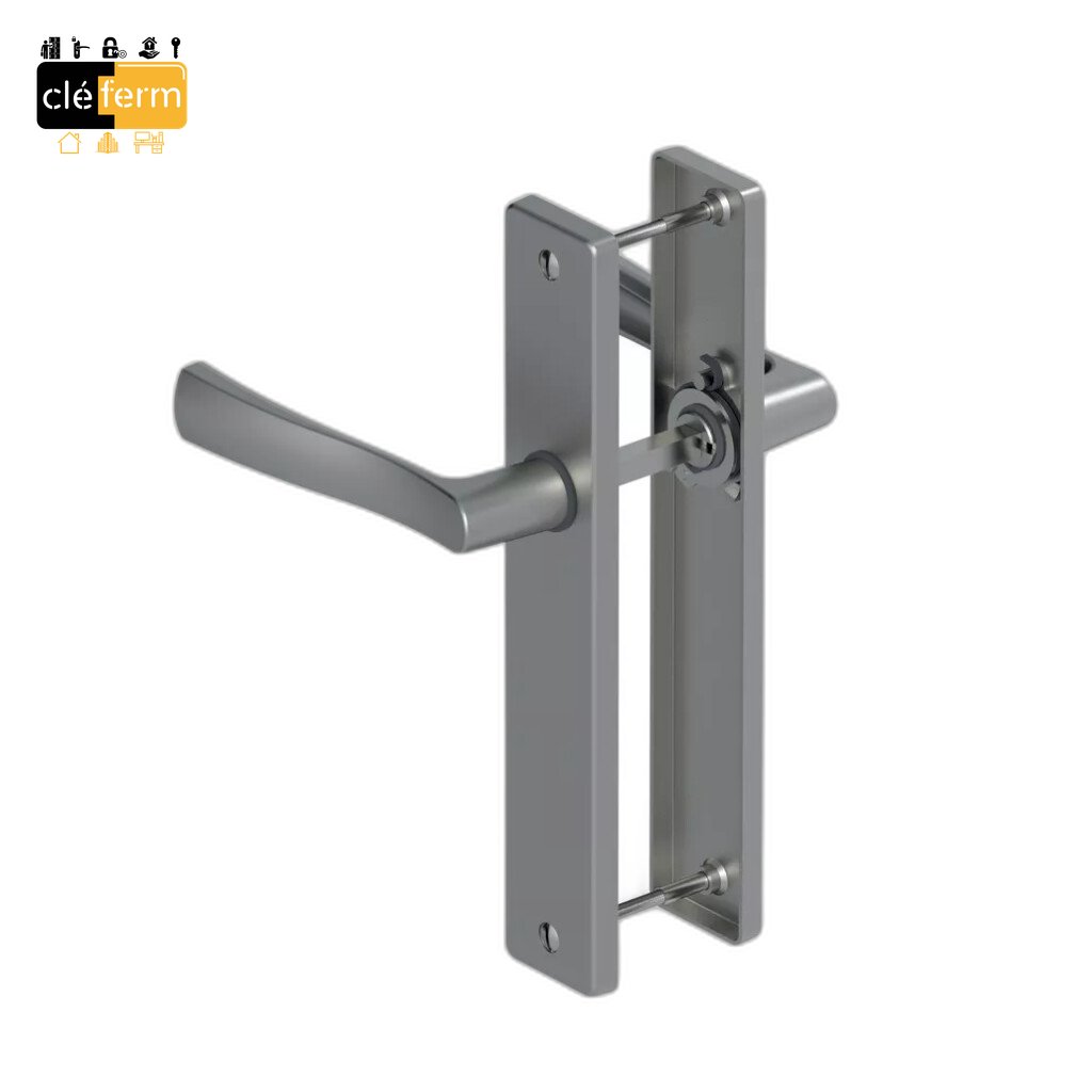 ENSEMBLE CADE HANDLE SUR PLAQUE GAUCHE BEC DE CANE