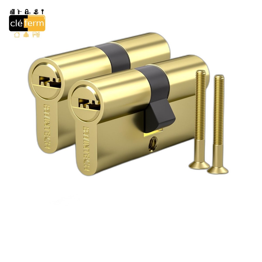 CYL.EURO. V5 30X70 DE LAITON SUR PG - 3 CLES