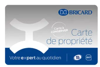 CARTE DE PROPRIETE BRICARD