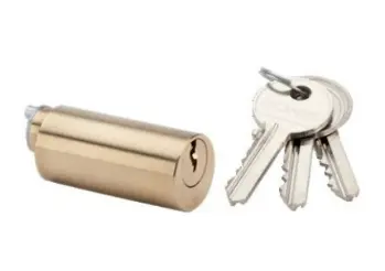 CANON ROND VEGA DE 45 MM DIAM 25 POUR ELECTRO SERRURE - 3 CLES