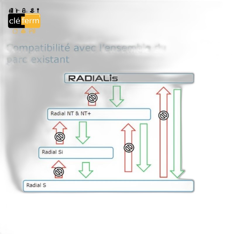 CYL.EURO.S RADIALIS 10X32,5 SUR PG/PP