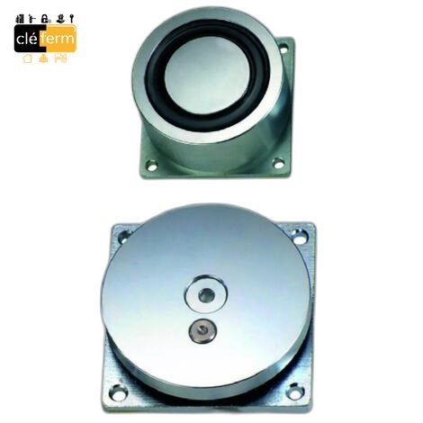 VENTOUSE ELECTRO 250 KG GRIS