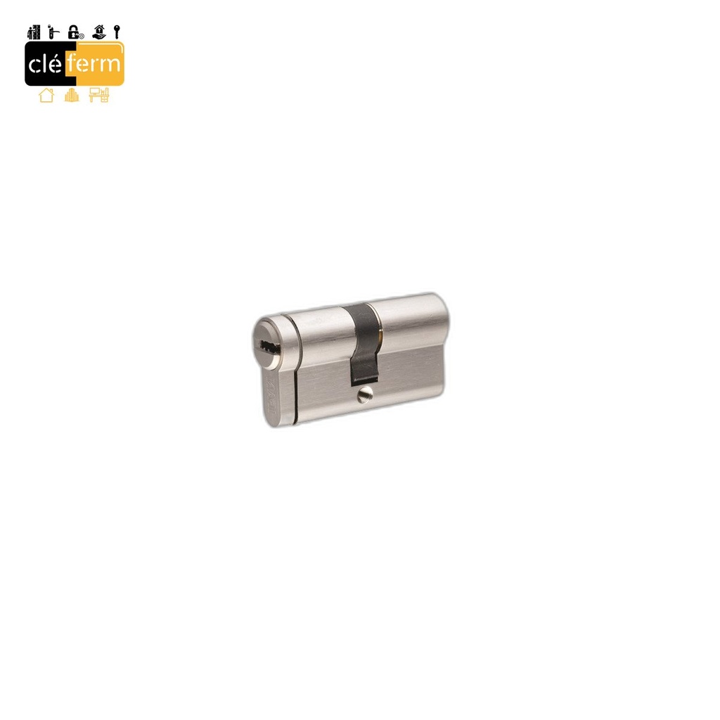 CYLINDRE F6S 40 X 55 DE