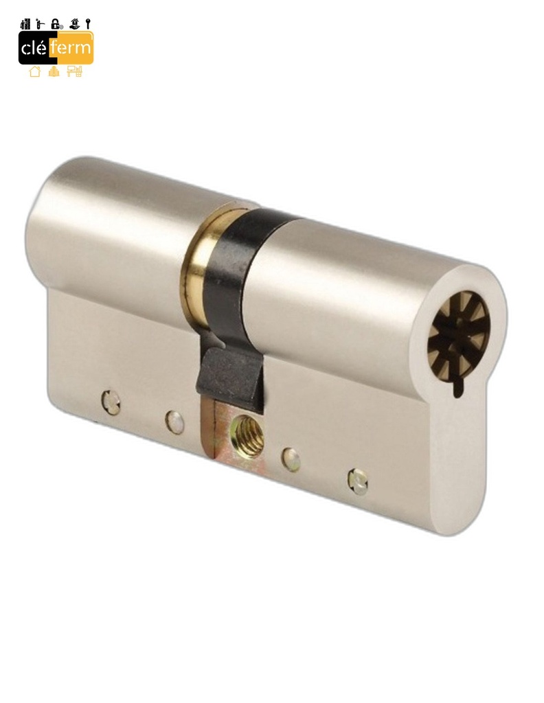 CYLINDRE POLLUX EURO 40 X 40 2E CLE 7000 SUR PG/PP