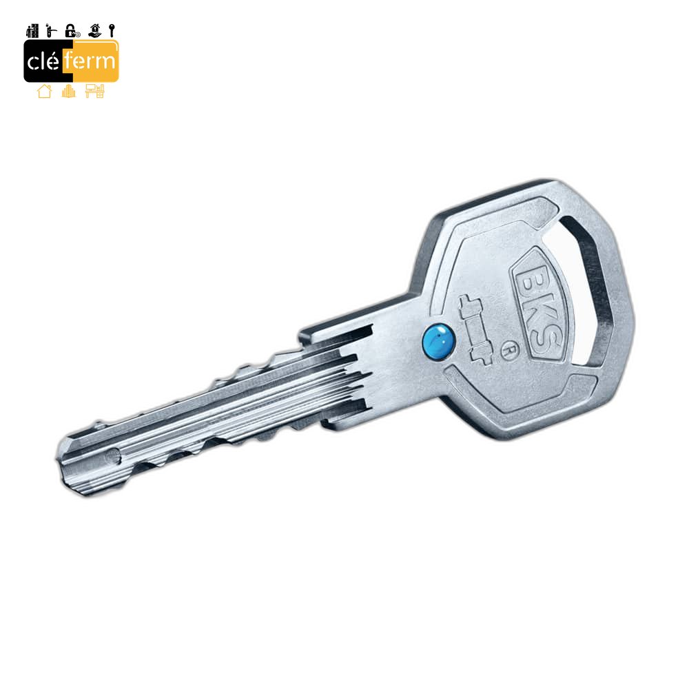 CLE PASSE PARTIEL LIVIUS S50