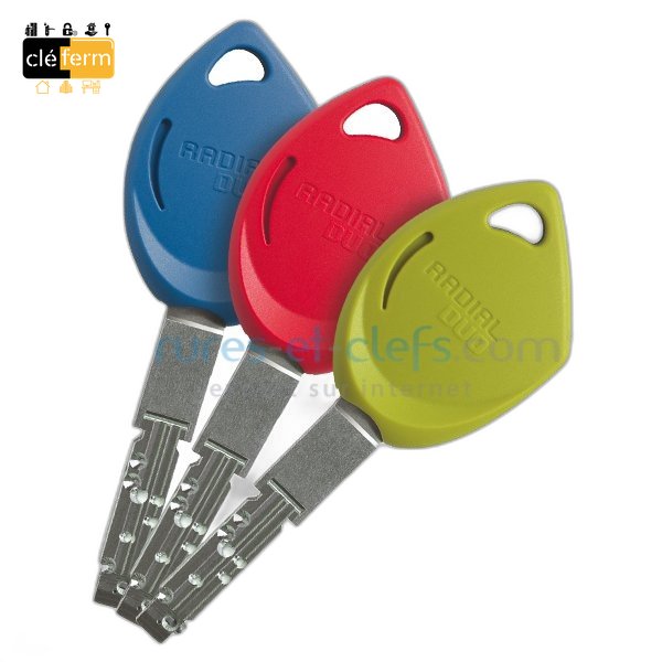 CLE RADIAL NT DUO AVEC VIGIK  PP/PG