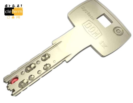 CYL.EURO.DOM IX5KG 30X30 DE SUR N°