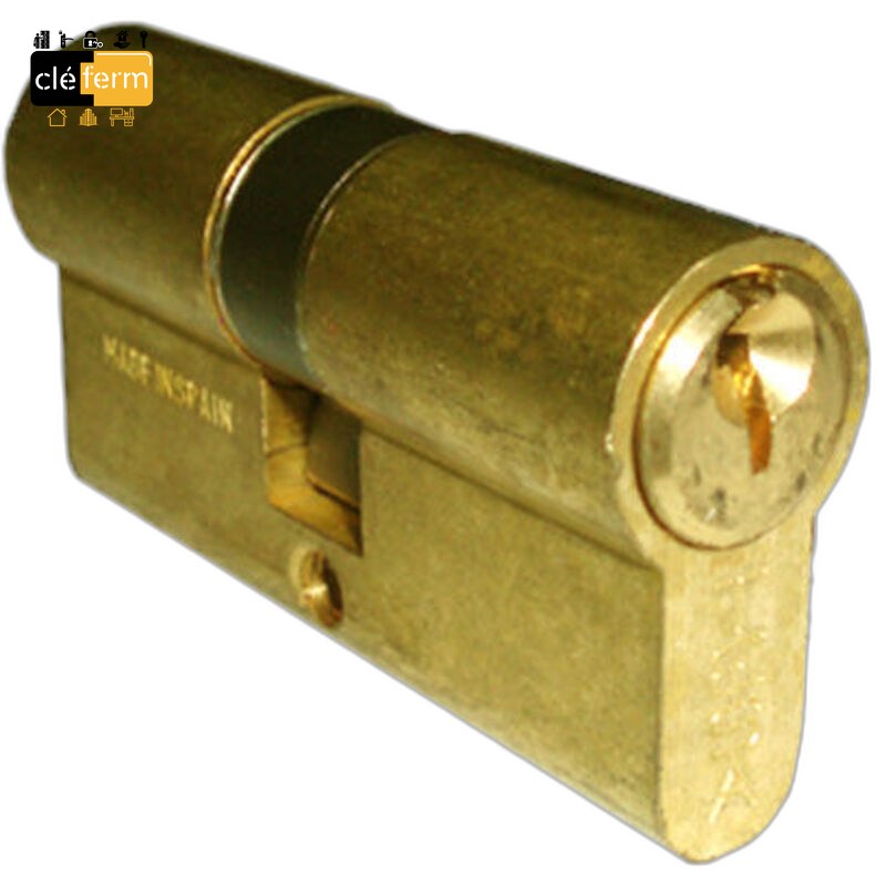 CYL 5P EXT 50MM LP/SECURICHAUFFE VARIE