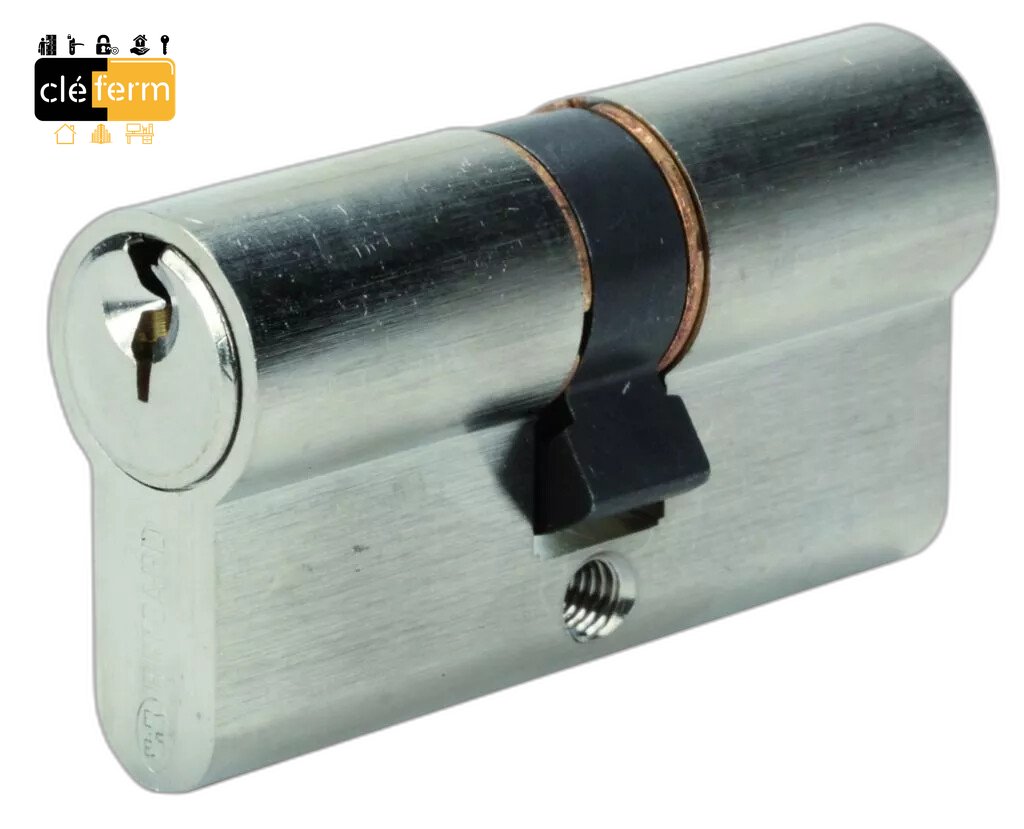 CYLINDRE ALPHA BRICARD 30X50 DOUBLE ENTREE 3 CLES - SUR N°