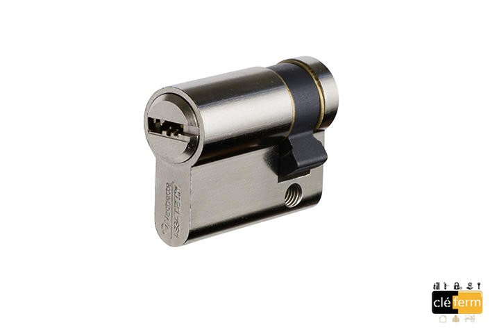 3111 VELIX Nickelé CYLINDRE VARIE ET/OU S'ENTROUVRANT 35 X 50