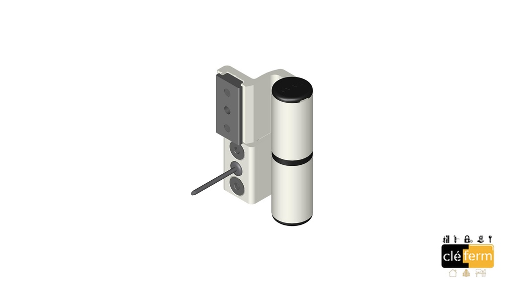 Paumelle de porte 10X15 8925      R9010B