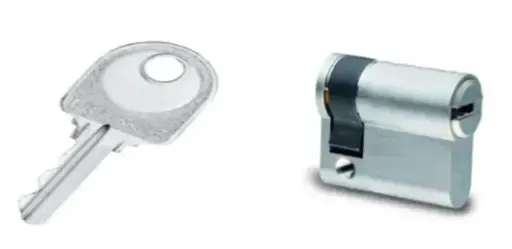 [N449102] 1/2CYL.EURO.GEMM 6 10X46 PG/PP