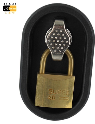 [N2250002] SERR BTN CADENASSABLE 1/4G AVEC CAME PLATE