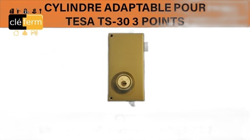 [FT003] CYLINDRE FASS TESA CYC SYR OG/PP AVEC 3 CLES