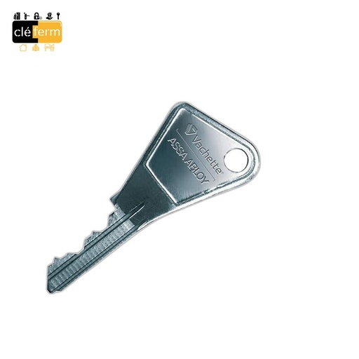 [VE07] CLE V5 5 GOUPILLES PASSE