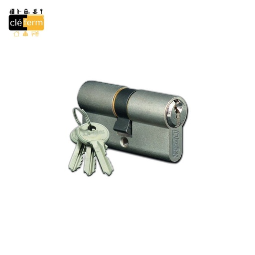 [6243] CYL. HTE SECU 30X40 DE SUR MV - 3 CLES