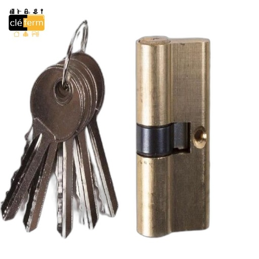 [6521] CYL HTE SECURITE 60MM M/M CLE