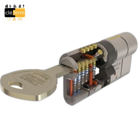 [8005] CYL.EURO. HTE SECURITE TESA 30X40 DE -5 CLES