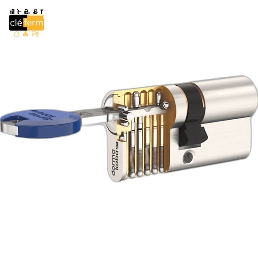 [PG/PP50] PASSE CLE REVERSIBLE SECURISEE