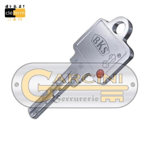 [N450110X31] DEMI-CYL.EURO. BKS JANUS 10X31 SUR PG/PP - 3 CLES