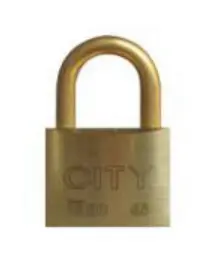 [NC45A] CADENAS LAITON ANSE ACIER 45mm MV - 2 CLES