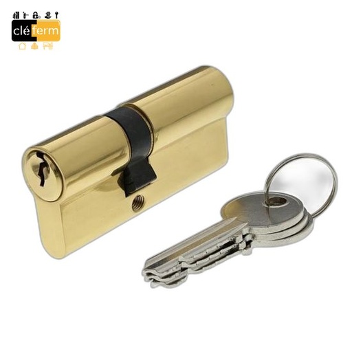 [N6260021] CYL.EURO.BRICARD 5 GOUPILLES 30X30 DE LAITON SUR N°