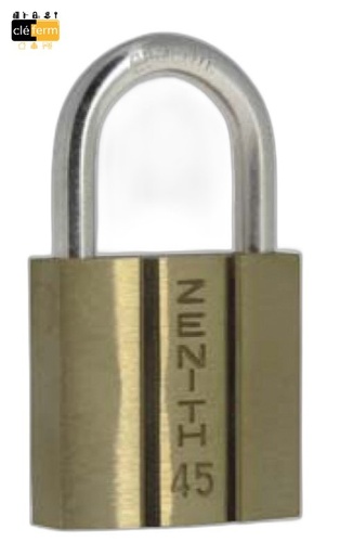 [N020920015] CADENAS / ACIER ZENITH ANSE 45 SUR N°