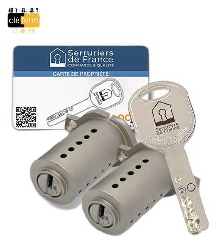 [NCHE0064C] JEU DE CYLINDRE MULTLOCK POUR SERRURE FICHET - 4 CLES