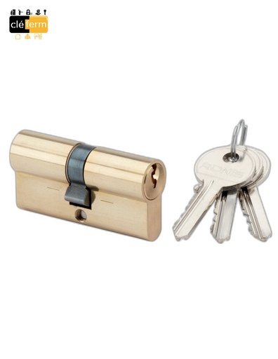 [N071012PD-361] CYLINDRE RONIS EUROPEEN DOUBLE ENTREE 36X66 AU NUMERO