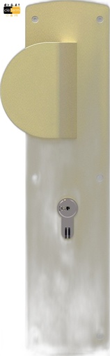 [N66391] DEMI ENSEMBLE EXT AILERON FIXE CHAMPAGNE 