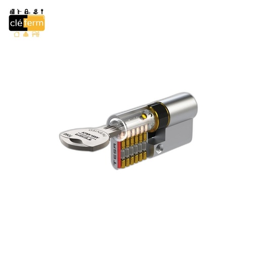 [NT8353030NAM] CYLINDRE TESA T83 30 X 30 DOUBLE ENTREE SUR PG / PP 3 CLES