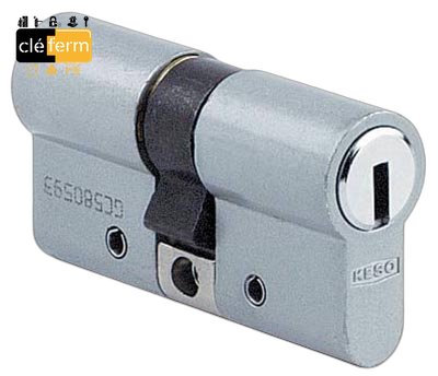 [K2000S30X50] CYLINDRE KESO 2000 OMEGA 30X50 DE  SUR PG-PP